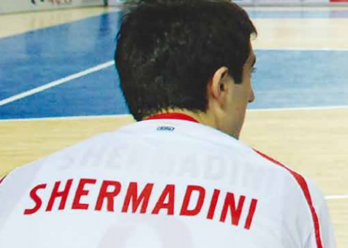 კალათბურთელების ცოლები &ndash; &ldquo;თამაშის შემდეგ ხმა მეკარგება, იმდე&shy;ნს ვყვირი - ემოციებს ყვირილით და წამოხტომით გა&shy;მოვხატავ"