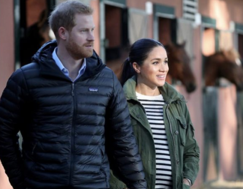 მეგან მარკლი, ხაკისფერ ქურთუკში და ჯინსის შარვალში პოზირებს(ფოტოკოლაჟი)