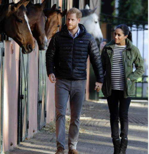 მეგან მარკლი, ხაკისფერ ქურთუკში და ჯინსის შარვალში პოზირებს(ფოტოკოლაჟი)