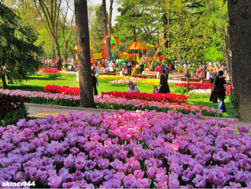 ტიტების ფესტივალი სტამბულში (ფოტოები)