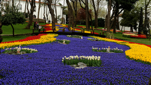 ტიტების ფესტივალი სტამბულში (ფოტოები)