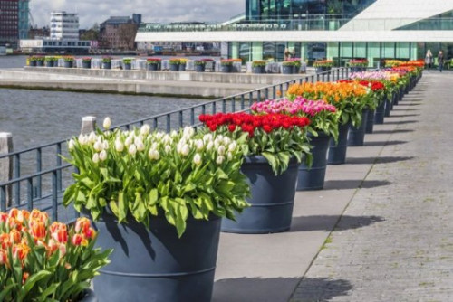 ტიტების ფესტივალი სტამბულში (ფოტოები)