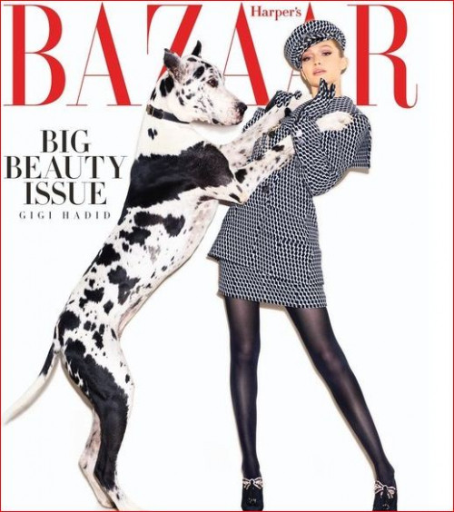 ჯიჯი ჰადიდი "Harper’s Bazaar"-ის ფოტოსესიის გამო გააკრიტიკეს - "მას შემდეგ რაც "ავტოიმუნური დაავადება" დამიდგინეს სწორი კვება დავიწყე