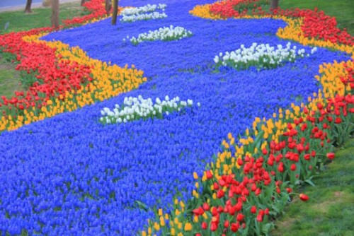 ტიტების ფესტივალი სტამბულში (ფოტოები)