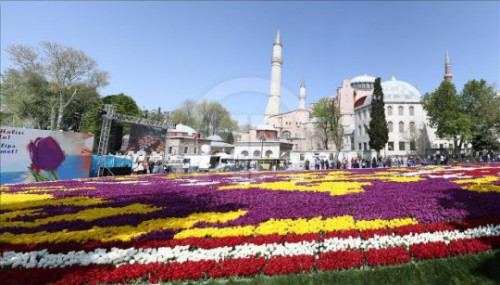 ტიტების ფესტივალი სტამბულში (ფოტოები)