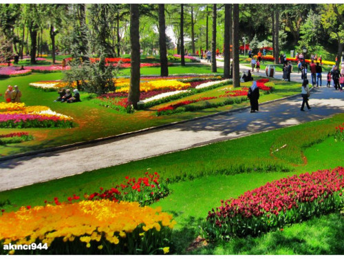 ტიტების ფესტივალი სტამბულში (ფოტოები)