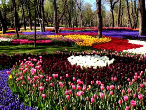 ტიტების ფესტივალი სტამბულში (ფოტოები)