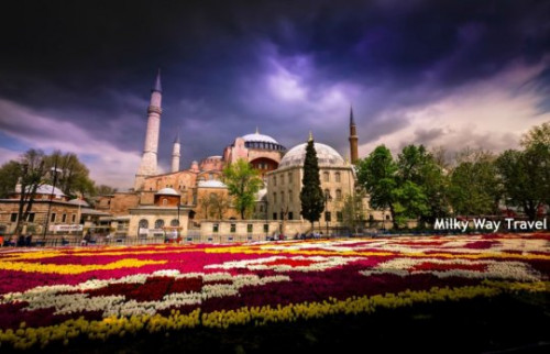 ტიტების ფესტივალი სტამბულში (ფოტოები)