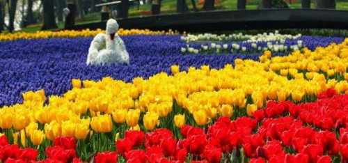 ტიტების ფესტივალი სტამბულში (ფოტოები)