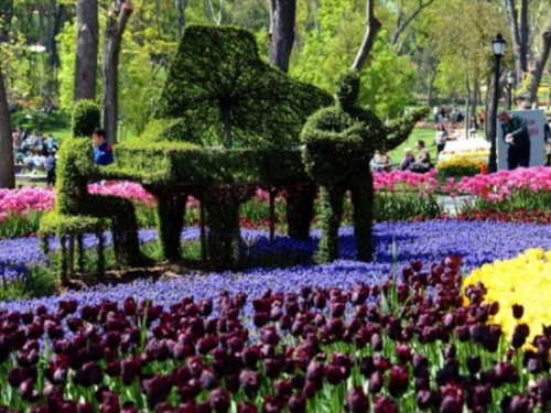 ტიტების ფესტივალი სტამბულში (ფოტოები)