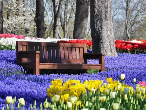 ტიტების ფესტივალი სტამბულში (ფოტოები)