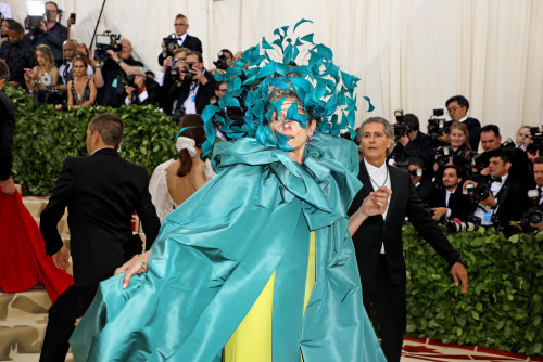 როგორ გამოიყურებოდნენ ვარსკვლავები Met Gala 2018-ზე - ფოტოები 