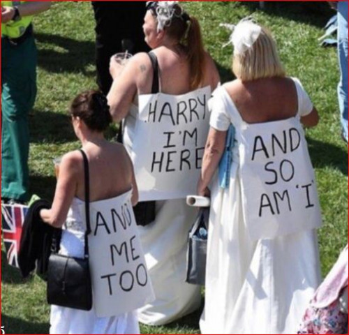 პრინცი ჰარის და მეგან მარკლის ქორწლილის ცერემონიის ყველაზე მხიარული და უცნაური ლუქები - "ჰარი, აქ ვარ! მეც შემირთე რა ცოლად!"