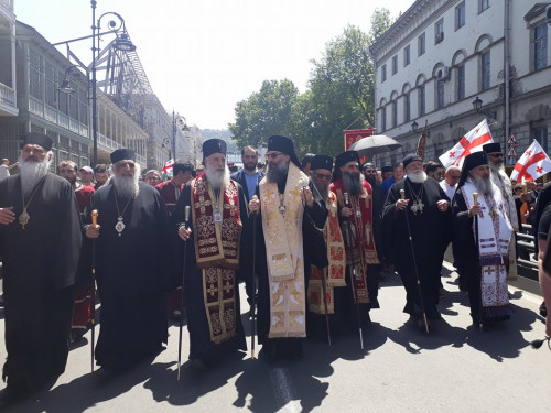 ოჯახის სიწმინდის და სიმტკიცის დაცვის დღისადმი მიძღვნილი მსვლელობა დასრულდა (ფოტოკოლაჟი)