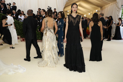 როგორ გამოიყურებოდნენ ვარსკვლავები Met Gala 2018-ზე - ფოტოები 