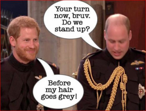 პრინცი ჰარის და მეგან მარკლის ქორწლილის ცერემონიის ყველაზე მხიარული და უცნაური ლუქები - "ჰარი, აქ ვარ! მეც შემირთე რა ცოლად!"