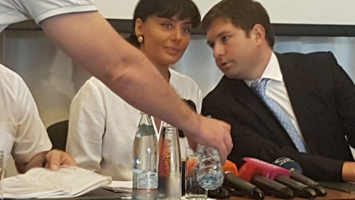 რისთვის ჩამოვიდა მაკა ასათიანი საქართველოში და როგორ გამოიყურებოდა პრესკონფერენციაზე - (ფოტოკოლაჟი)
