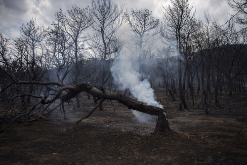 ცეცხლის ალში გახვეული საბერძნეთი - ფოტოამბავი