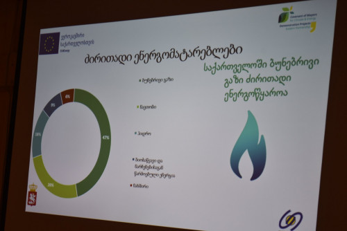თელავში მდგრადი ენერგეტიკის დღე აღინიშნა