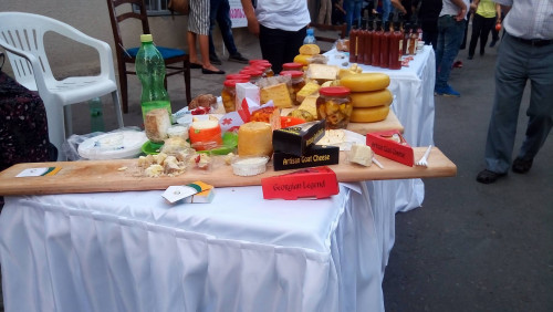 კონსტუტიციის დღისადმი მიძღვნილი ღონისძიება - ფოტოკოლაჟი