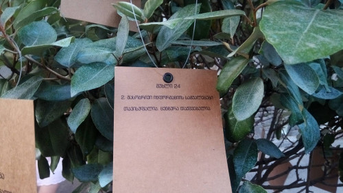 კონსტუტიციის დღისადმი მიძღვნილი ღონისძიება - ფოტოკოლაჟი