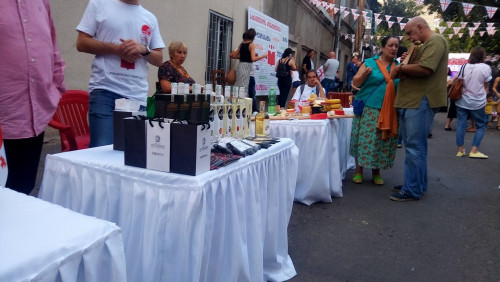 კონსტუტიციის დღისადმი მიძღვნილი ღონისძიება - ფოტოკოლაჟი