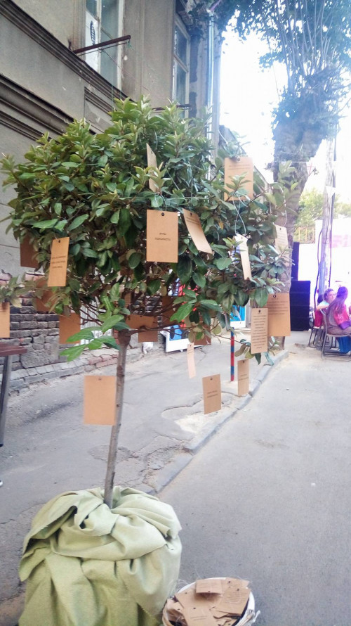 კონსტუტიციის დღისადმი მიძღვნილი ღონისძიება - ფოტოკოლაჟი