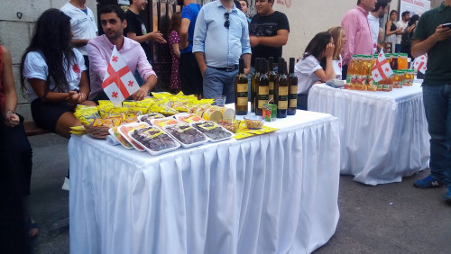 კონსტუტიციის დღისადმი მიძღვნილი ღონისძიება - ფოტოკოლაჟი