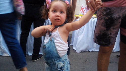 კონსტუტიციის დღისადმი მიძღვნილი ღონისძიება - ფოტოკოლაჟი